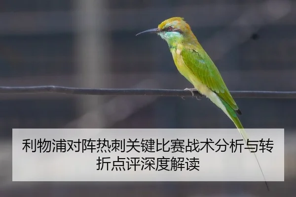 利物浦对阵热刺关键比赛战术分析与转折点评深度解读
